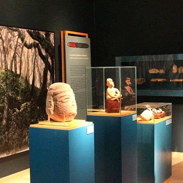 Visitar el Museo Histórico de la Sierra Gorda 